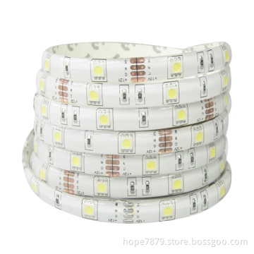 Waterproof 12V SMD 5050 60LEDs LED Strip Light for Christmas